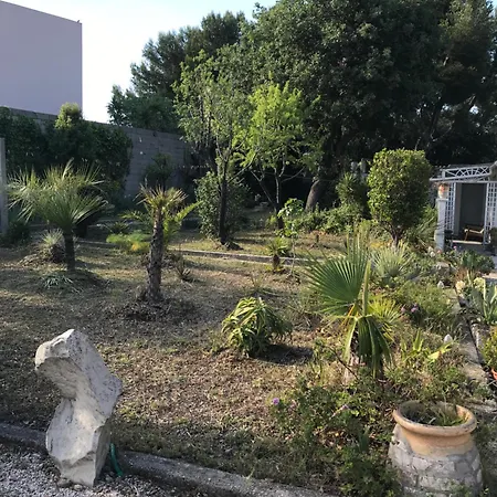 Apartment Sauviou Plage